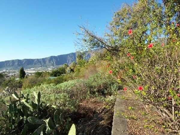 Casitas Vista Valle Bajo El Paso Zewnętrze zdjęcie